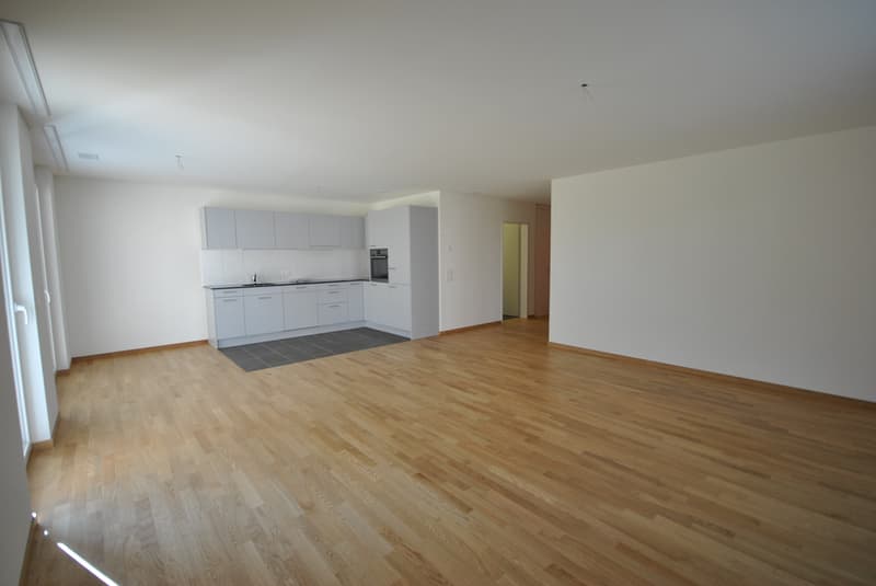 Wohnzimmer & Küche 1
