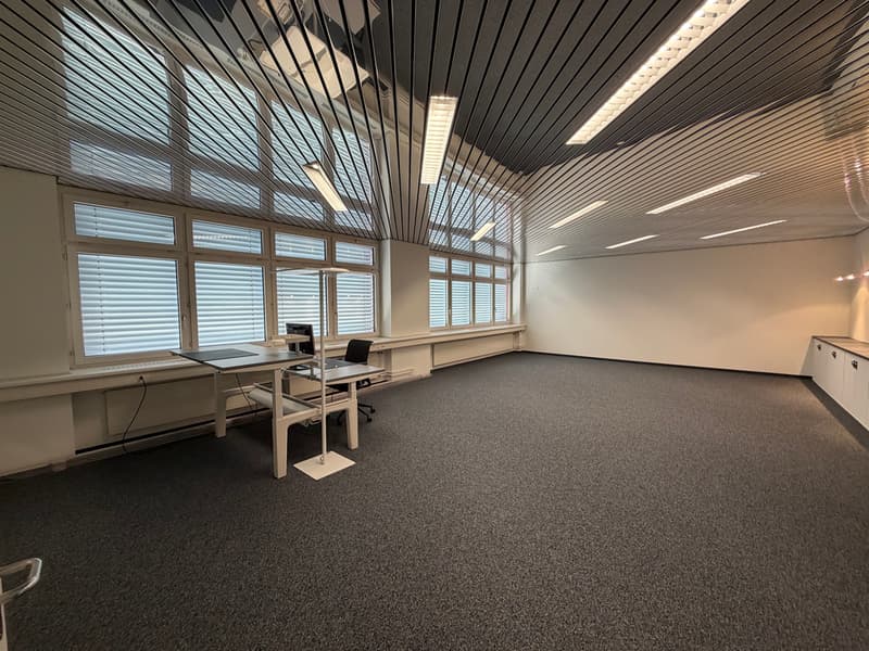 Bürofläche 225 - 1