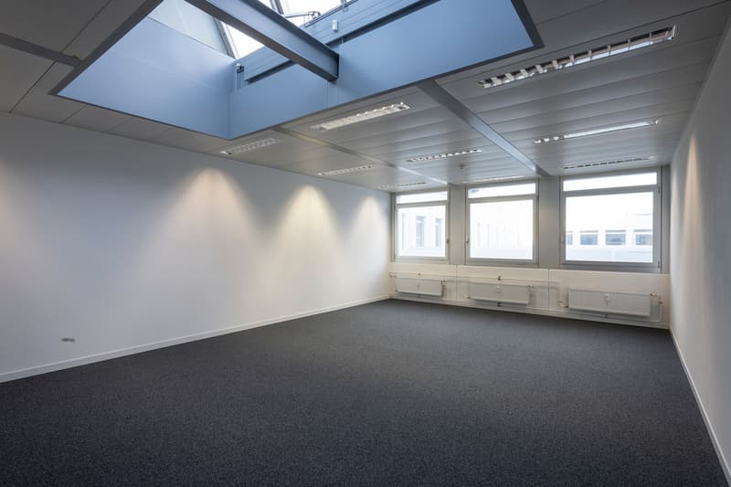 Beispielbild 2