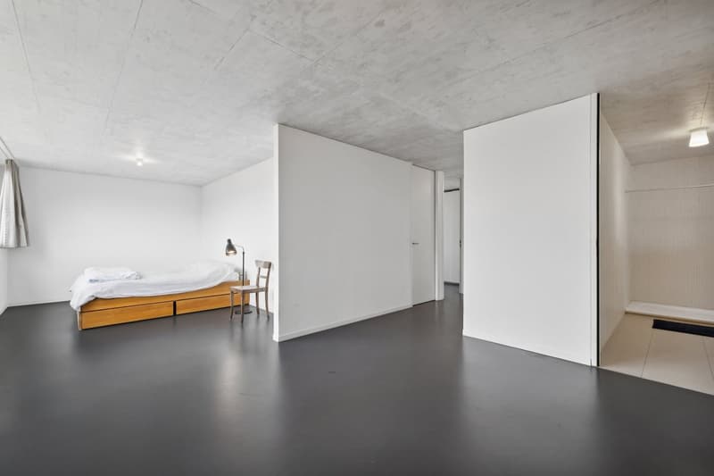 Villa Contemporaine au Cœur de Bernex, Calme absolu (14)