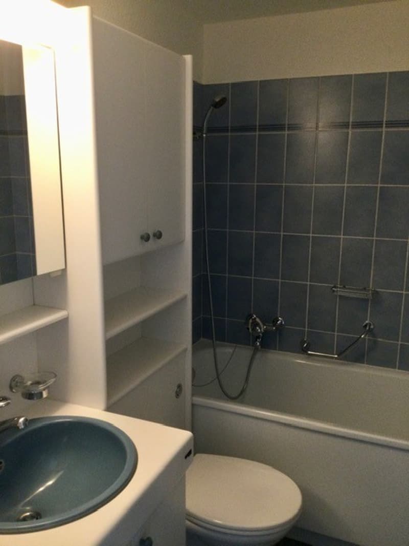 Nähe Naherholungsgebiet Lange Erlen. Neben Stückizenter (9)