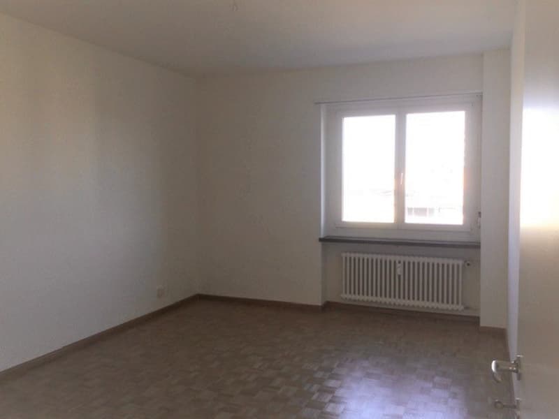 Nähe Naherholungsgebiet Lange Erlen. Neben Stückizenter (7)