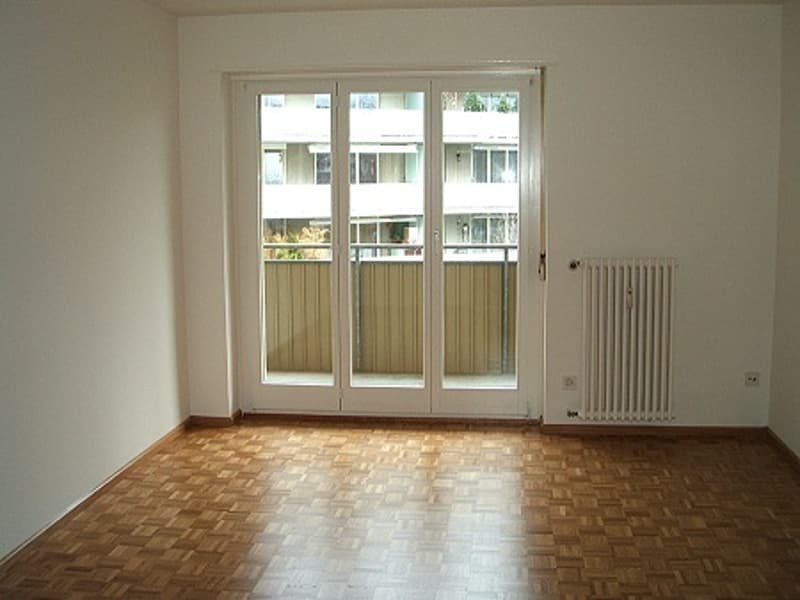 Nähe Naherholungsgebiet Lange Erlen. Neben Stückizenter (6)