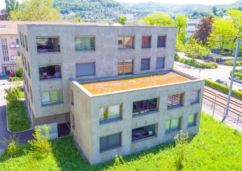 DJI_0911.jpg