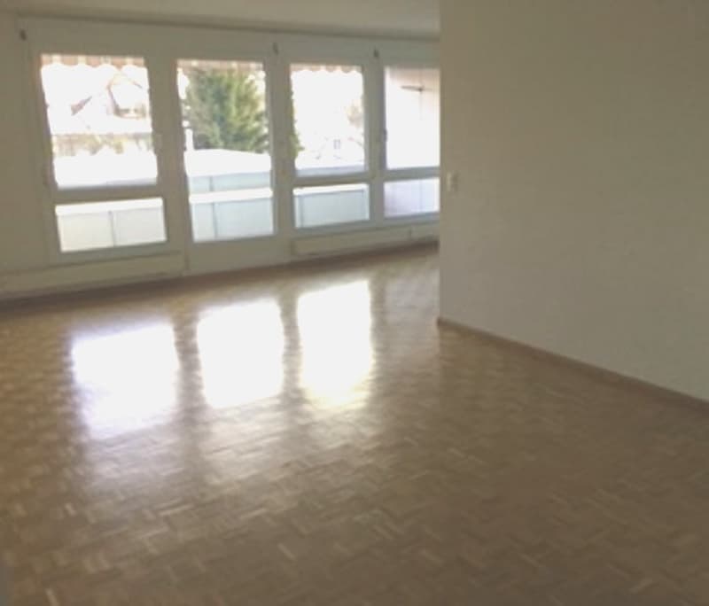 In einer ruhigen Gegend vermieten wir eine 5 1/2-Zimmerwohnung (2)