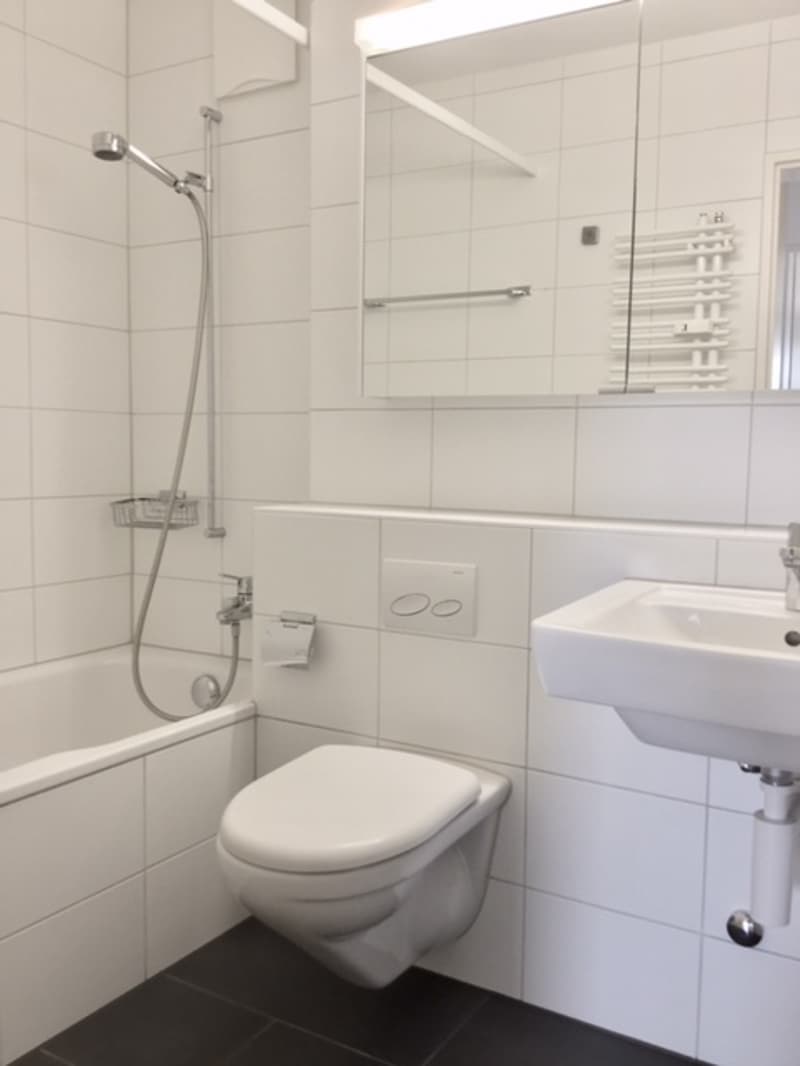 In einer ruhigen Gegend vermieten wir eine 5 1/2-Zimmerwohnung (9)