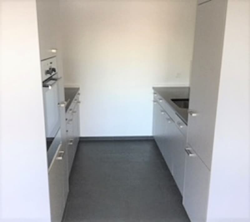 In einer ruhigen Gegend vermieten wir eine 5 1/2-Zimmerwohnung (4)