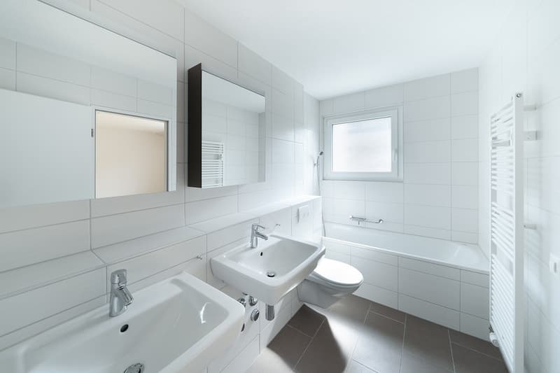 Lichtdurchflutete Wohnung mit Chemine (8)