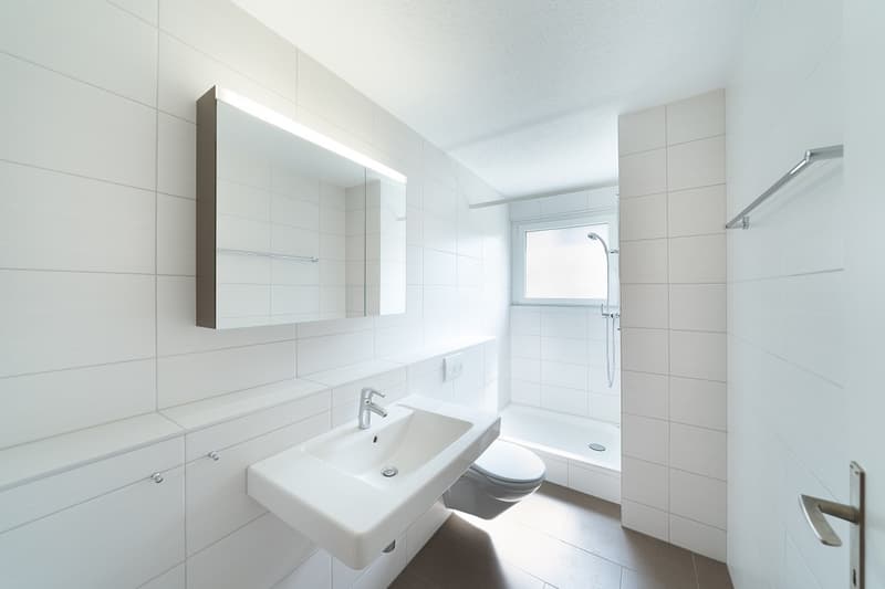 Lichtdurchflutete Wohnung mit Chemine (11)