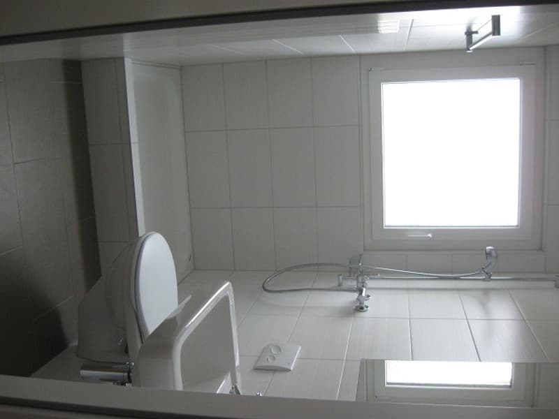 Geräumige, helle Dach-Wohnung (kein Lift) (6)