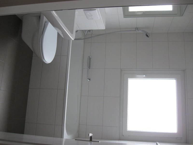 Geräumige, helle Dach-Wohnung (kein Lift) (7)