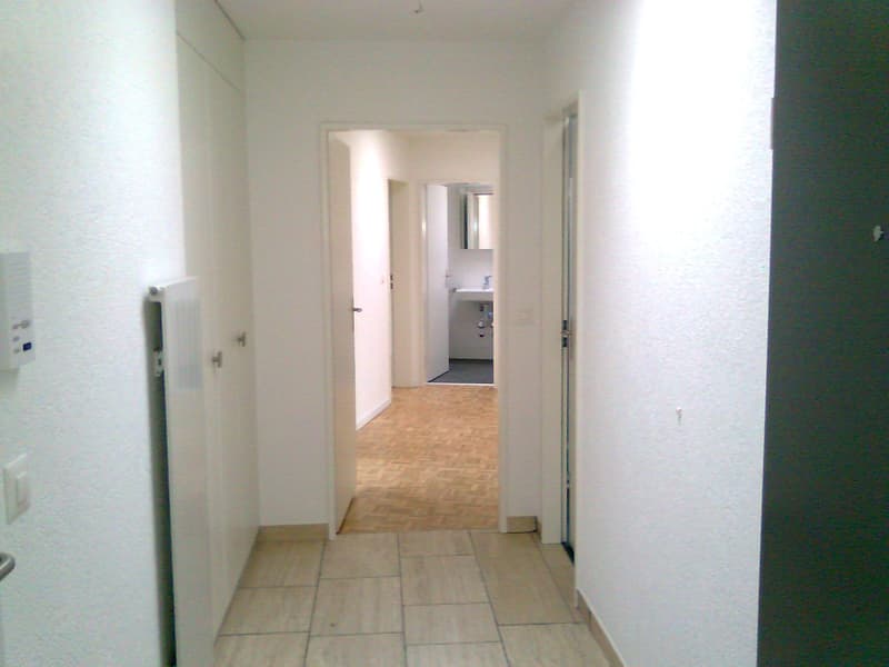 Grosse Terrasse,  moderne Küche offen zu Wohnzimmer (5)
