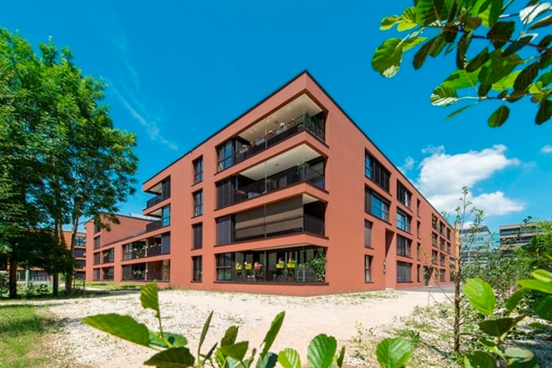 Moderne 3,5 Zimmerwohnung (1)