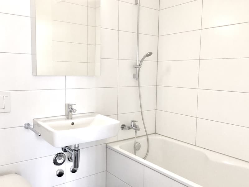 ***3.5ZWG**82m**grosser Eck-Balkon**Abendsonne*** (9)