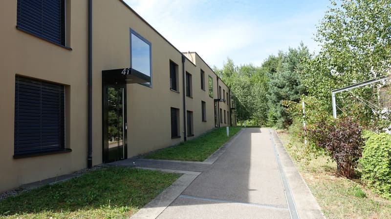 Modernes, grosszügiges Wohnen im Grünen (4)