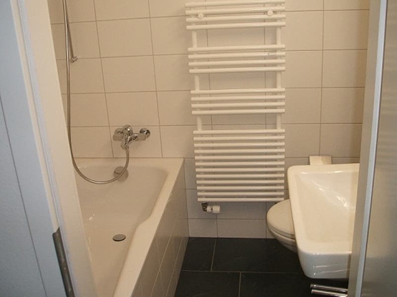 In der Nähe des Naherholungsgebiet Lange Erlen (5)