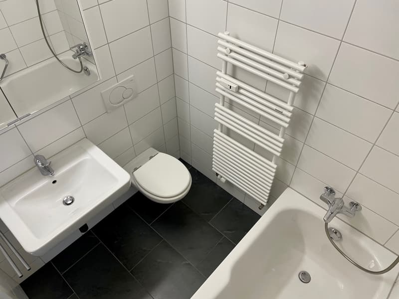 gemütliche 1.-Zimmer-Wohnung (9)