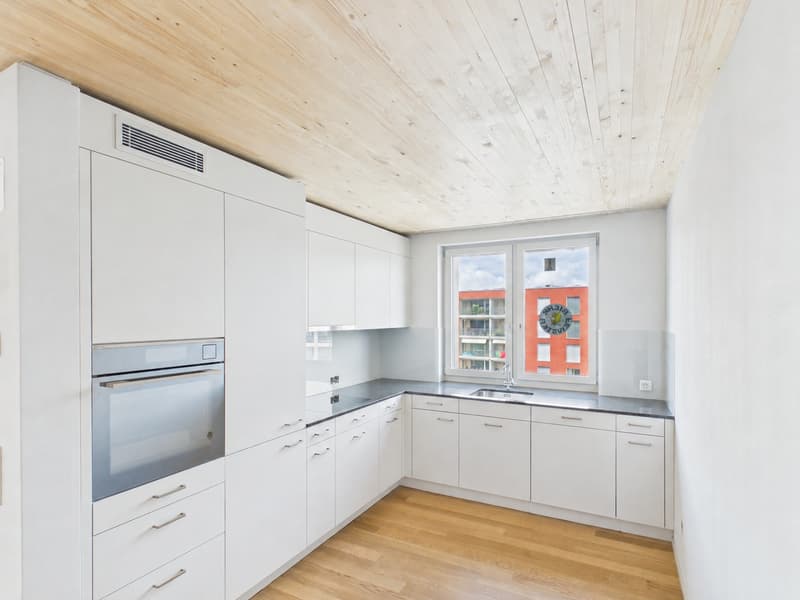 Sonnige Tage, angenehm kühle Wohnung - moderne 2.5-Zimmer-Neubauwohnung (1)