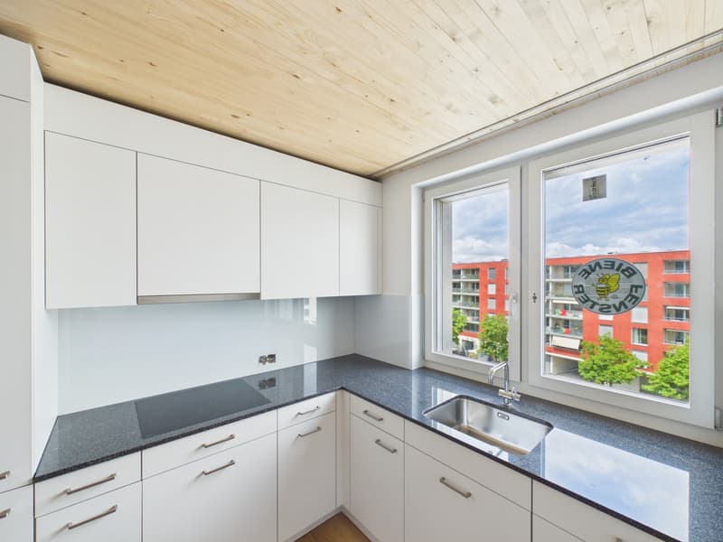 Sonnige Tage, angenehm kühle Wohnung - moderne 2.5-Zimmer-Neubauwohnung (2)