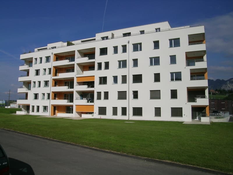 SPACIEUX, LUMINEUX DANS QUARTIER RÉCENT (2)