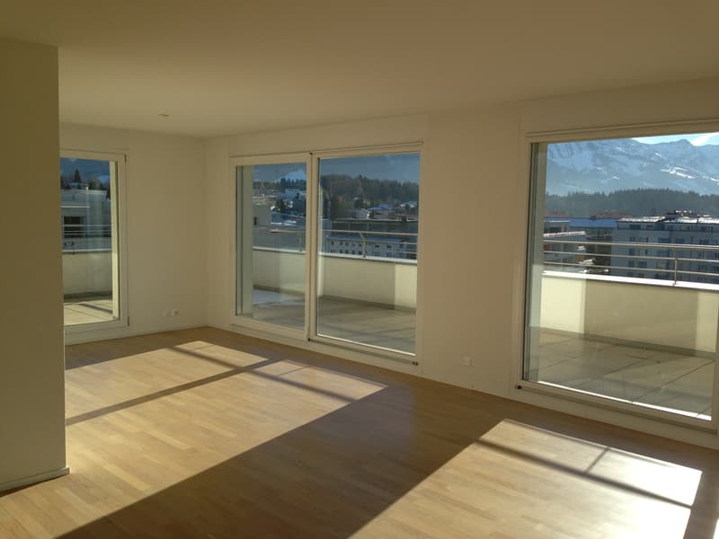 GRANDE TERRASSE ACCESSIBLE DEPUIS TOUTES LES PIECES ! (2)
