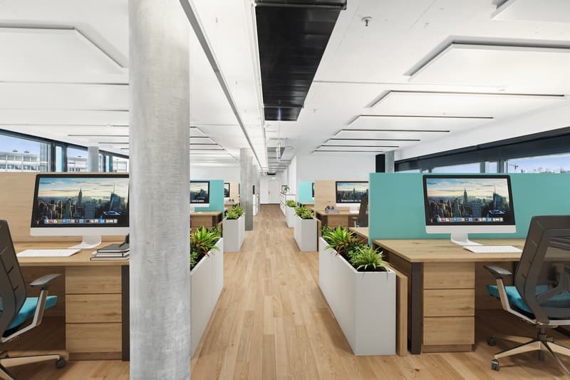 Wachstum beginnt hier: Ideal für Büro, Praxis oder Schule! (3)