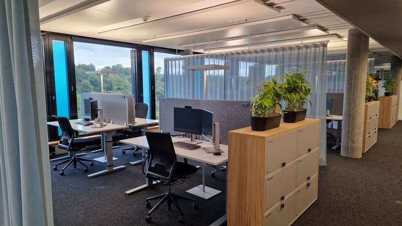 Wachstum beginnt hier: Ideal für Büro, Praxis oder Schule! (4)
