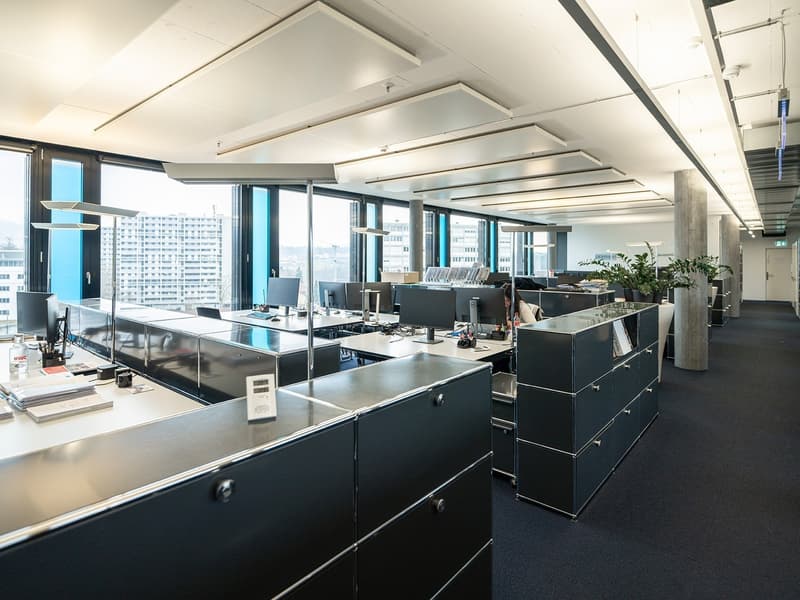 Wachstum beginnt hier: Ideal für Büro, Praxis oder Schule! (8)
