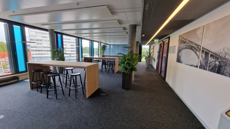 Wachstum beginnt hier: Ideal für Büro, Praxis oder Schule! (1)