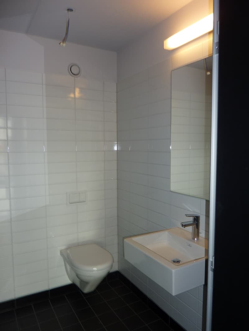 Espaces de bureau/commerce modernes 105m2 (3)