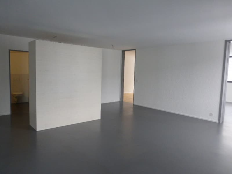 Urban wohnen im Glattpark? (5)