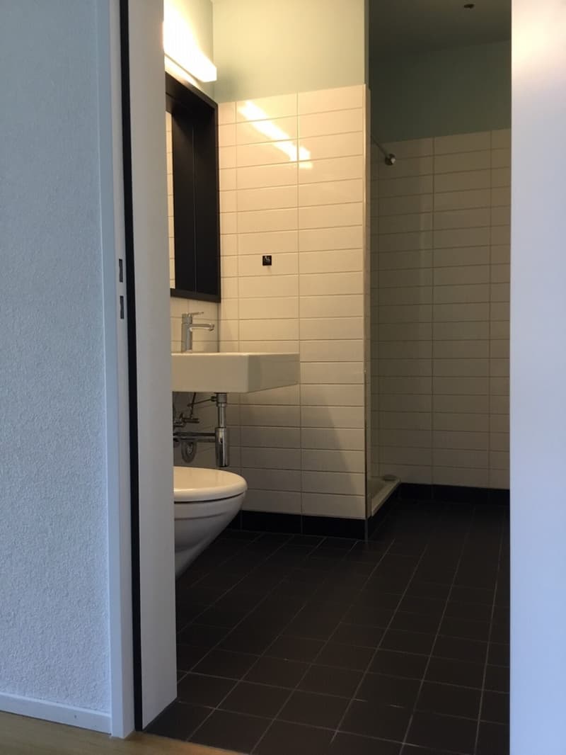 3.5-Zimmer-Wohnung im Glattpark (4)