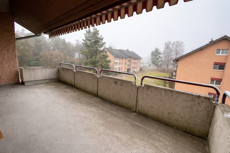 Grosszügige Familienwohnung an ruhiger Wohnlage (8)