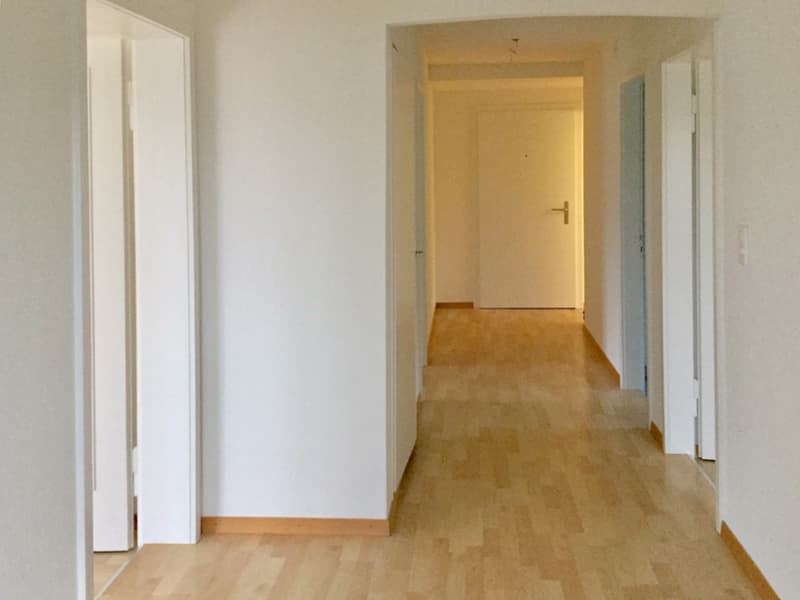 an ländlicher Lage in Wollishofen! (6)