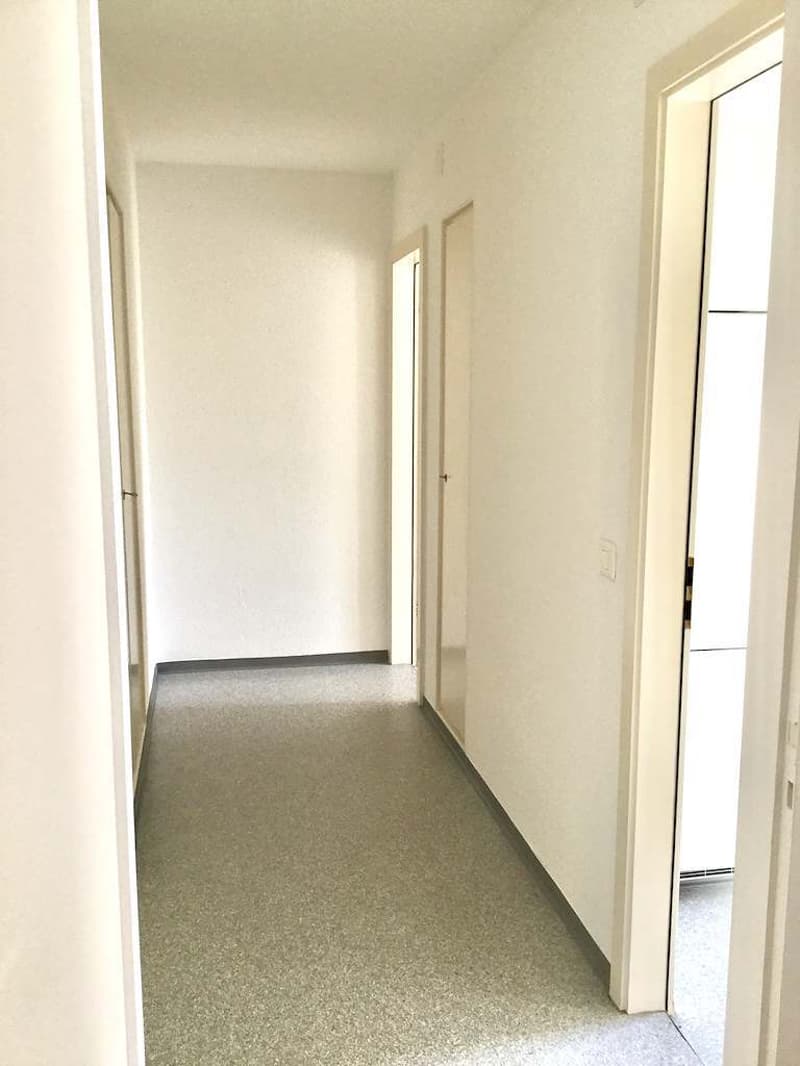 Klein aber fein... 1-Zimmerwohnung in Zürich-Affoltern (4)