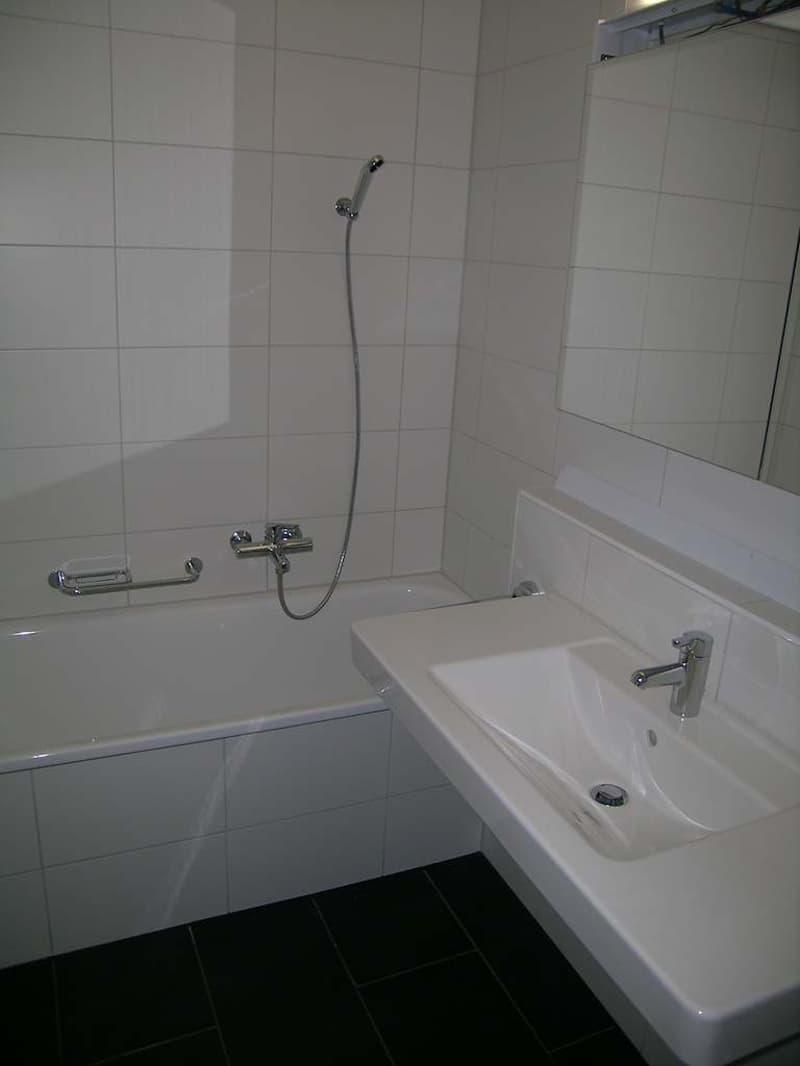 Klein aber fein... 1-Zimmer-Wohnung in Dietlikon (3)