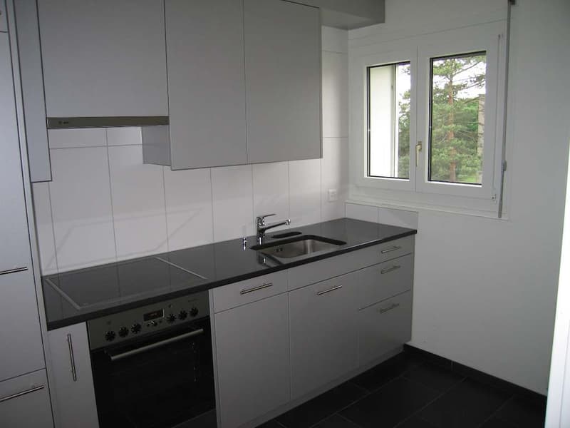 Klein aber fein... 1-Zimmer-Wohnung in Dietlikon (2)