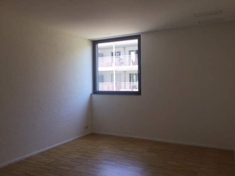 Urban wohnen im Glattpark? (4)
