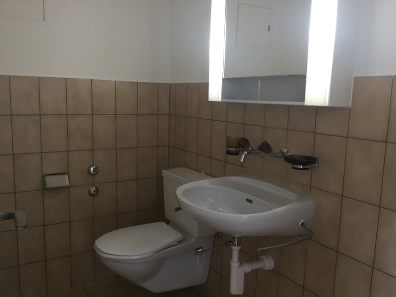 Grosszügige 3.5-Zimmerwohnung mit Cheminée zu vermieten (6)