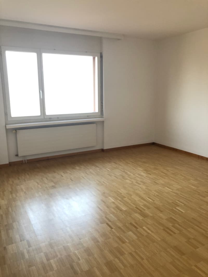 Zimmer