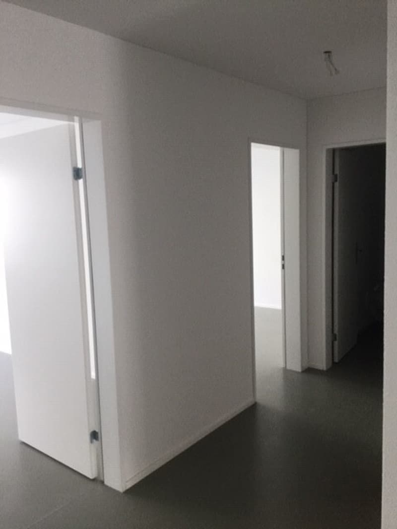 Korridor / typähnlich