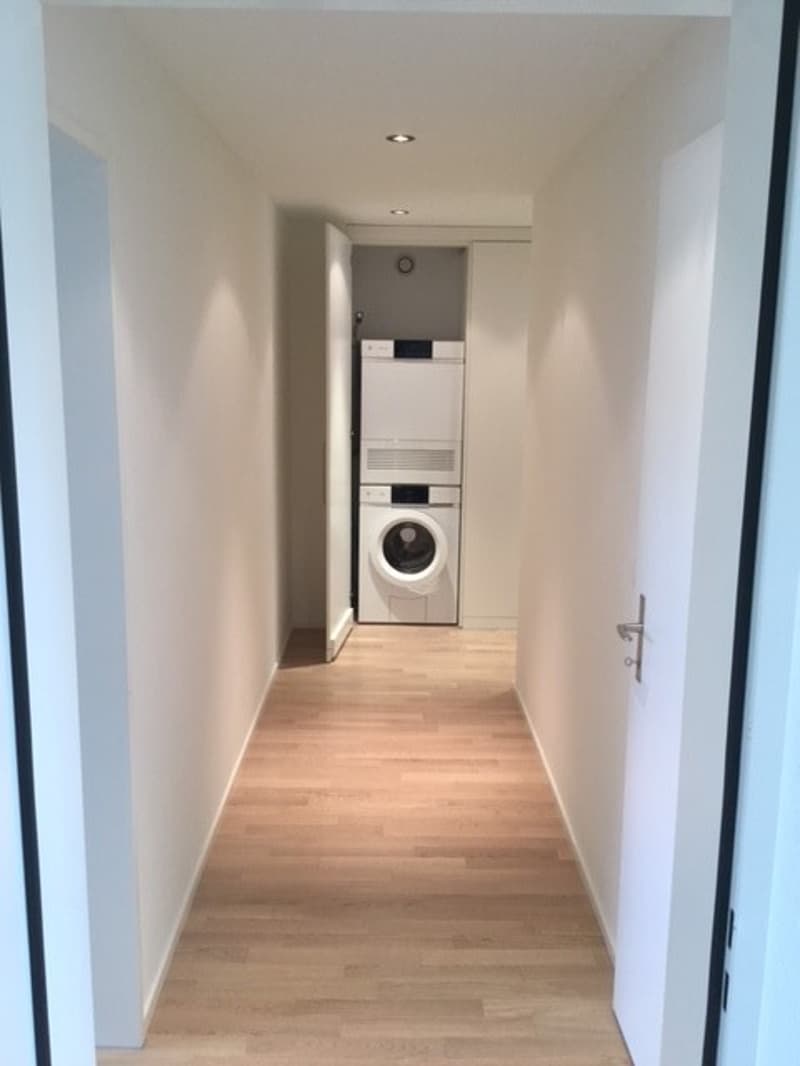 Korridor / Waschmaschinen-Schrank
