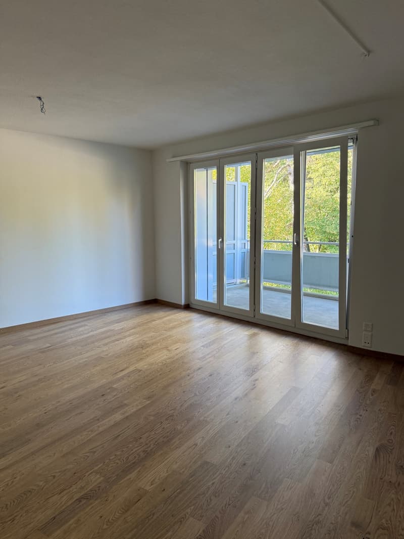 Wohnzimmer-Balkon