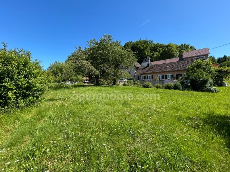 VIEUX-FERRETTE, propriété composé de 2maisons, dont une louée, sur (12)