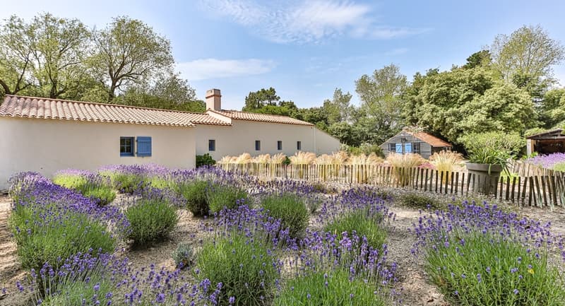 PROPRIETE DE CHARME - VENDEE (2)