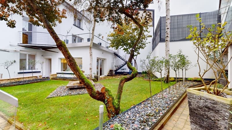 Ensemble immobilier maison d'habitation de prestige et bureaux (6)