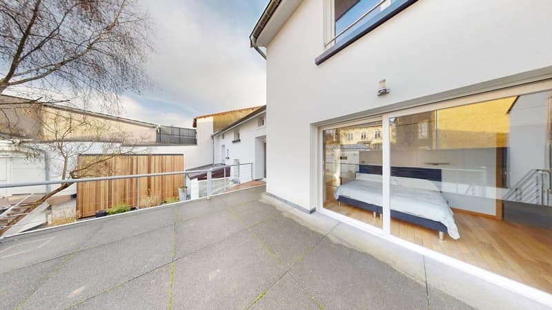 Ensemble immobilier maison d'habitation de prestige et bureaux (5)