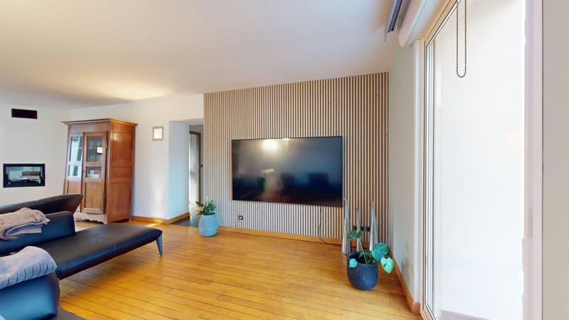 Ensemble immobilier maison d'habitation de prestige et bureaux (13)
