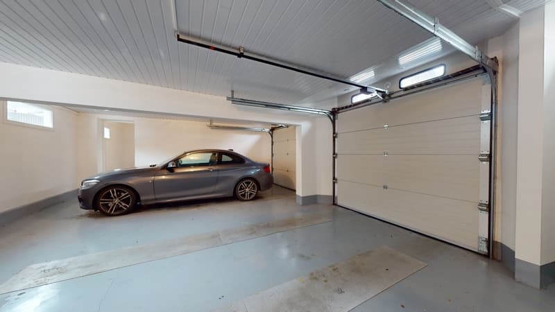 Ensemble immobilier maison d'habitation de prestige et bureaux (10)