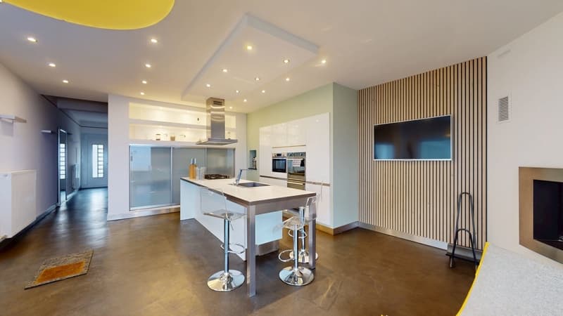Ensemble immobilier maison d'habitation de prestige et bureaux (8)